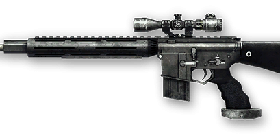 M16 SPR Custom