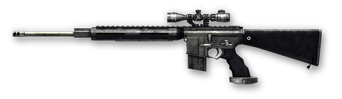 M16 SPR Custom